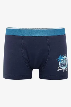 3 Pack Surfer Dude Boxers Blue