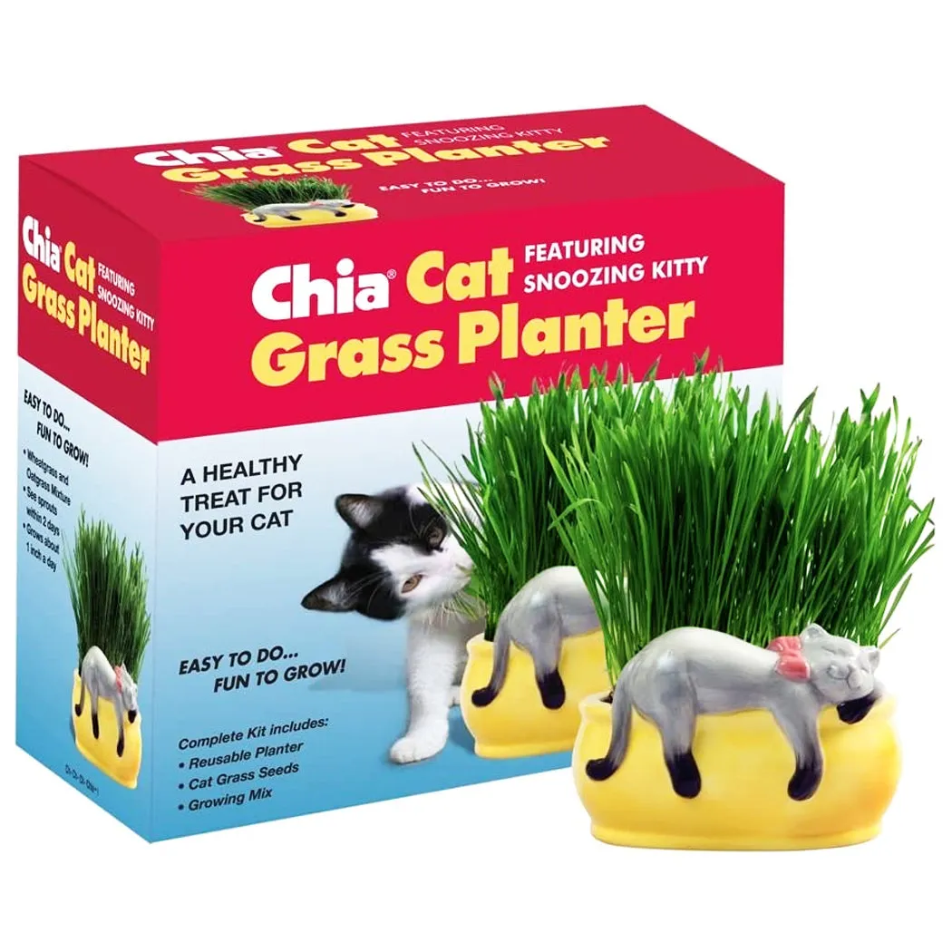 Chia Pet Planter - Cat Grass Snoozy Kitty