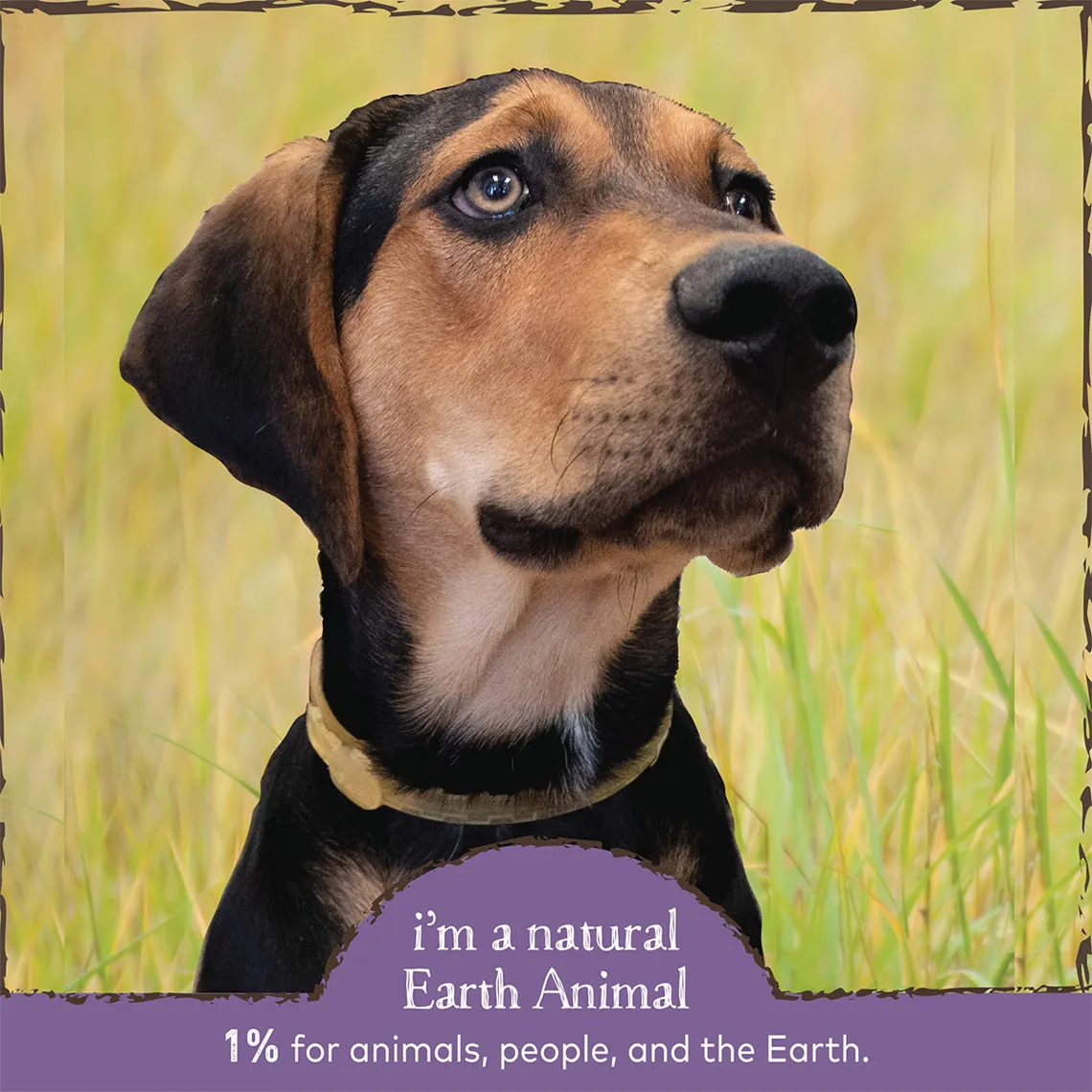 Earth Animal Nature's Protection Flea & Tick Spot On for Dogs