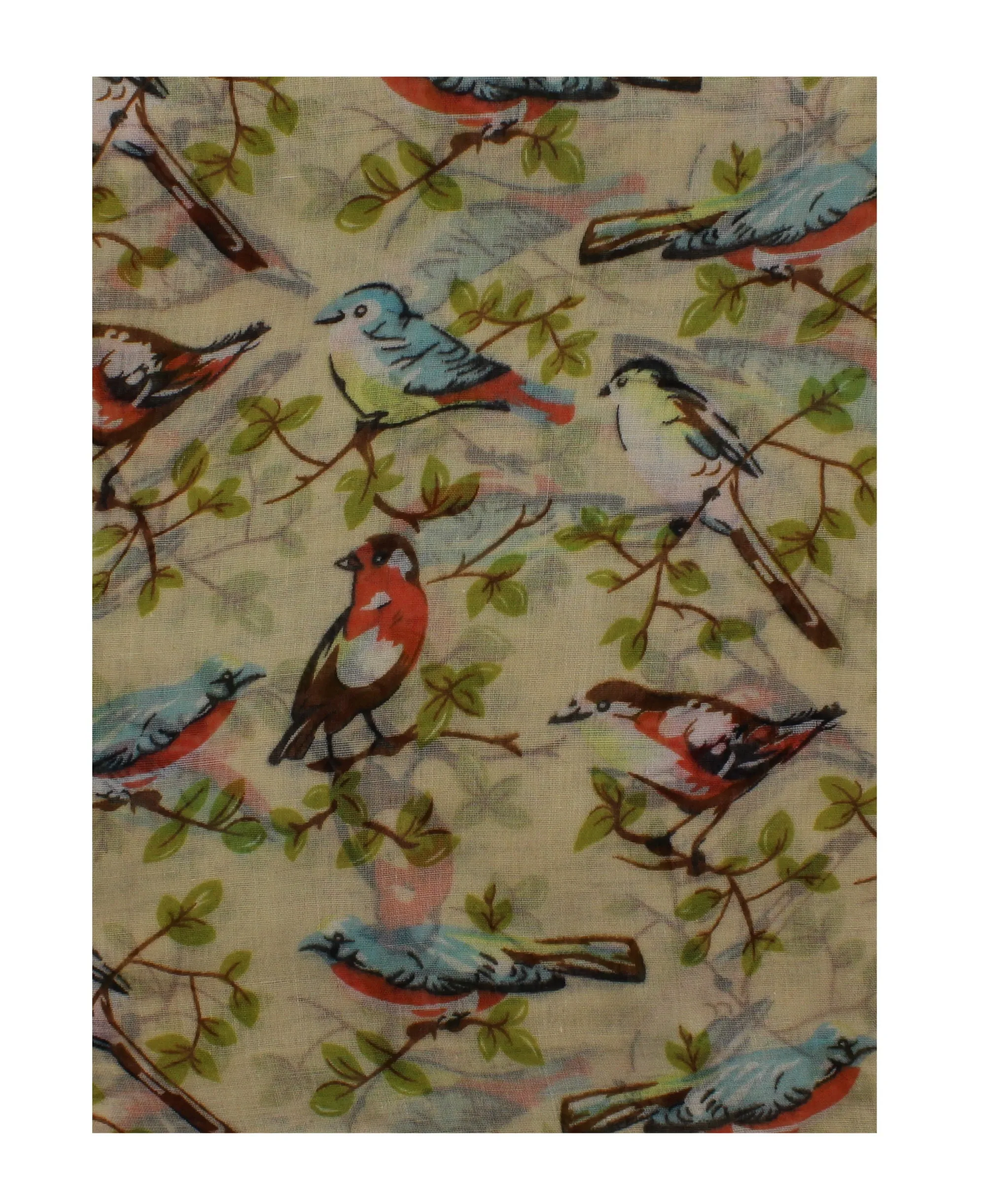 Robin & Branch Print on Scarf