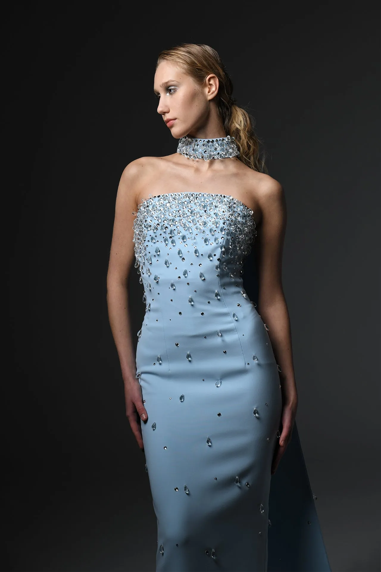 Strapless  Dress with Crystal Choker and Cape