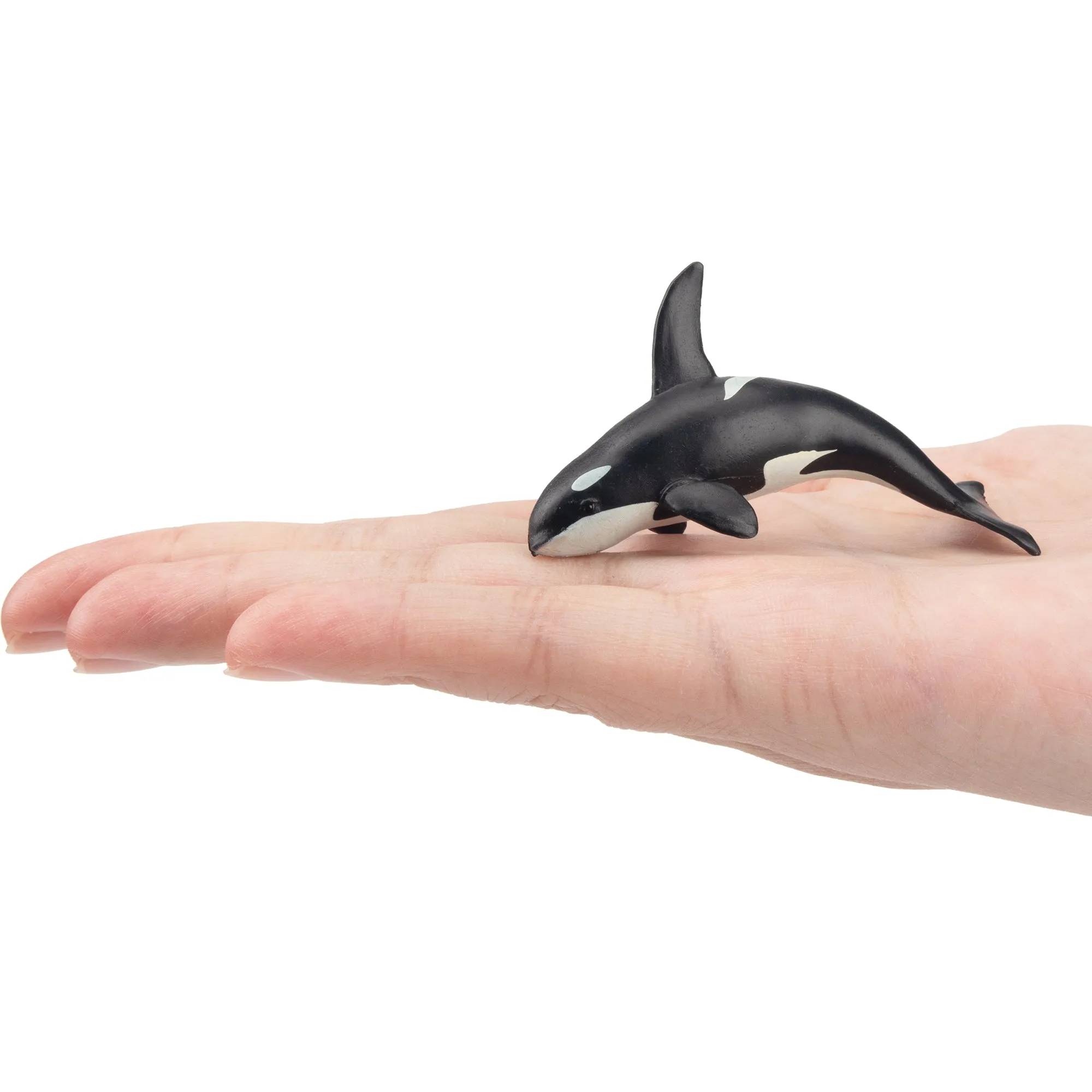 Toymany Killer Whale Figurine Toy - Small Size