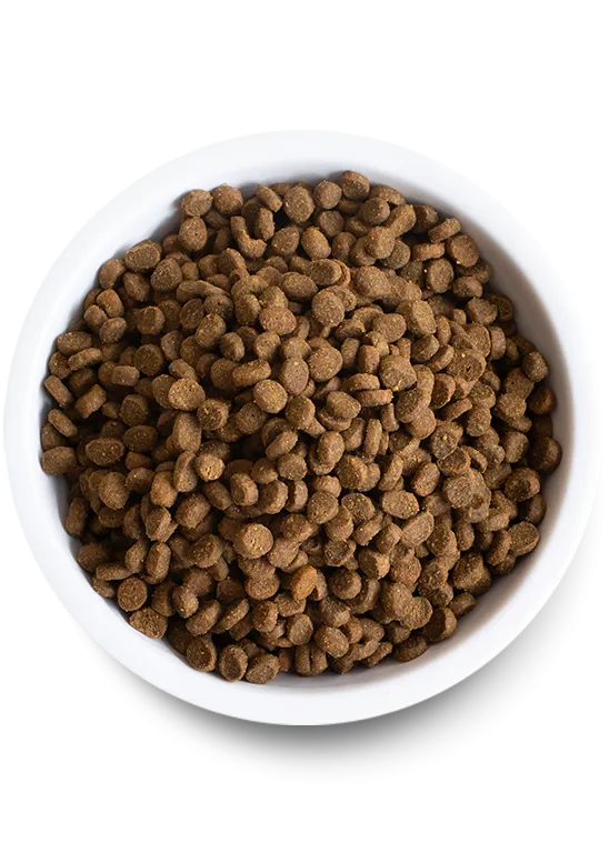 Wild-Caught Salmon Dry Cat Food